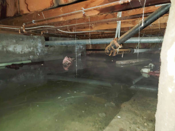 Best Emergency water damage restoration  in Los Banos, CA