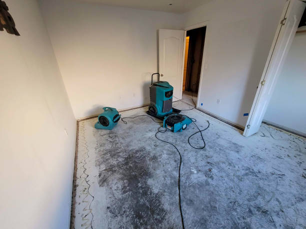 Best Water damage repair service  in Los Banos, CA