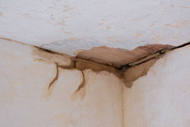 Best Water damage cleanup near me  in Los Banos, CA