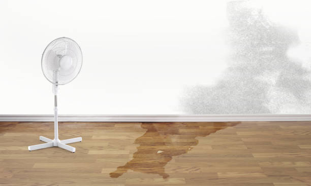 Trusted Los Banos, CA Water damage restoration Experts