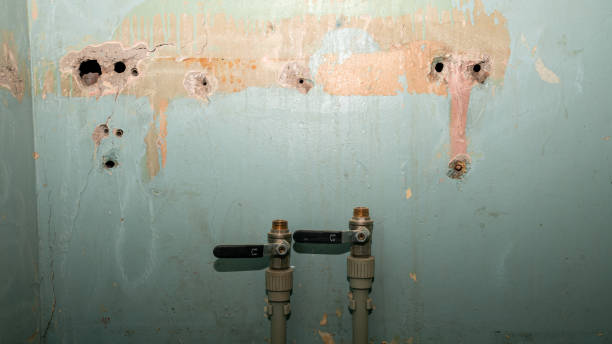 Best Professional water damage repair  in Los Banos, CA