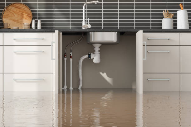 Best 24/7 water damage repair  in Los Banos, CA