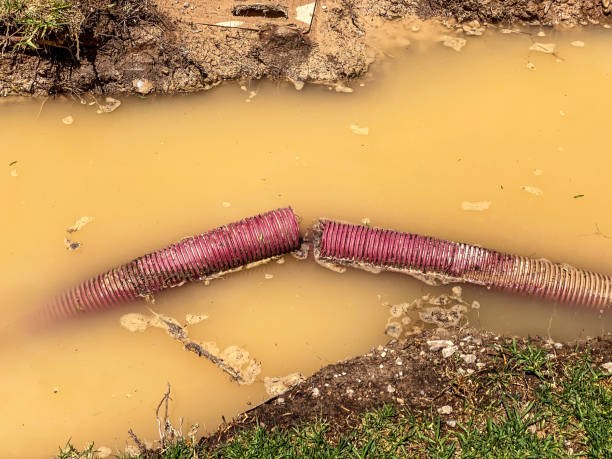 Best Water damage restoration near me  in Los Banos, CA