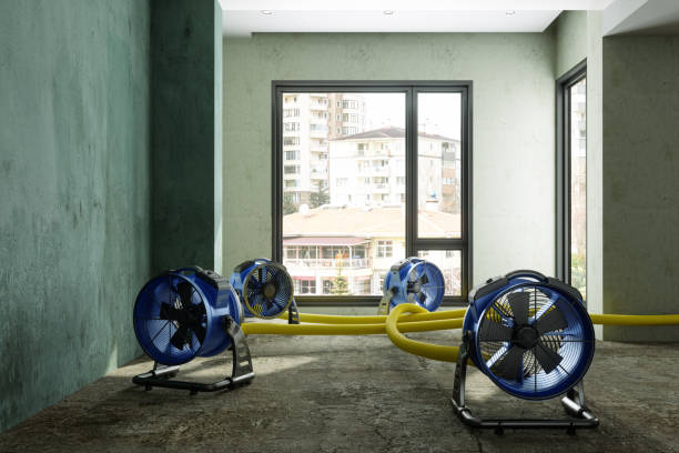 Best Water damage restoration near me  in Los Banos, CA